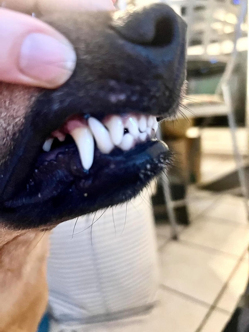 Customer review image