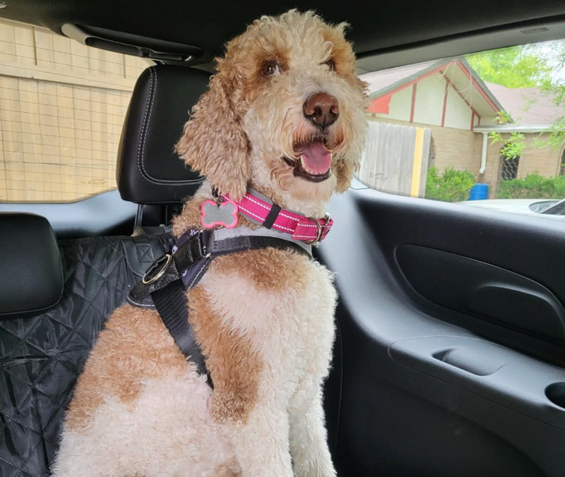 Customer review image